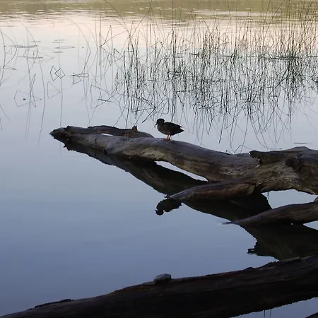 Ξενοδοχείο Seehotel